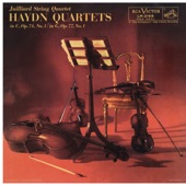 String Quartet No. 57 in C Major, Op. 74, No. 1, Hob.III:72: II. Andantino grazioso artwork