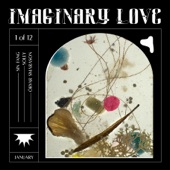Imaginary Love artwork