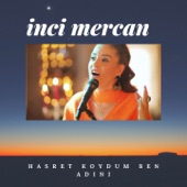 Hasret Koydum Ben Adını artwork