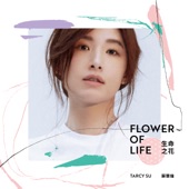 30週年精選輯: 生命之花 Flower of Life artwork