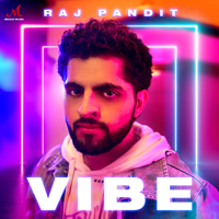 Raj Pandit - VIBE - Single artwork