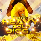 Heavy Gold Digga artwork