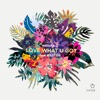 Love What U Got (feat. Bastien) - Single