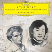 Schubert: Impromptus, Drei Klavierstücke, Moments Musicaux artwork