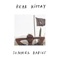 Summer Babies (feat. Erlend Øye) - Bear Kittay lyrics