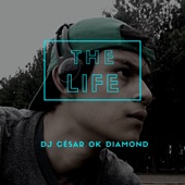 The LIFE (Radio Edit) artwork