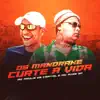 Os Mandrake Curte a Vida - Single album lyrics, reviews, download