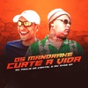 Os Mandrake Curte a Vida - Single