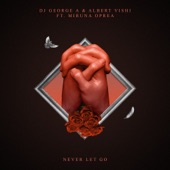 Never Let Go (feat. Albert Vishi & Miruna Oprea) artwork