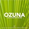 Ozuna - J De La Cruz lyrics