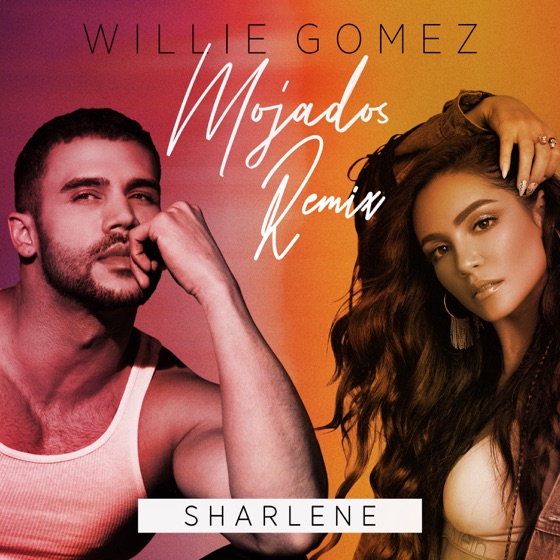Cover artwork for Mojados (Remix)