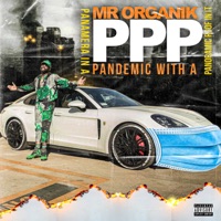 Album Ppp - Mr.Organik