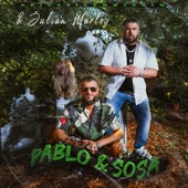 Pablo & Sosa (feat. Julian Marley) artwork