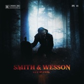 Smith & Wesson artwork