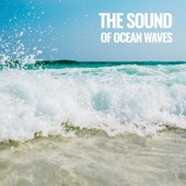 Sounds of Ocean Waves artwork