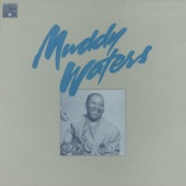 Muddy Waters - Black Night