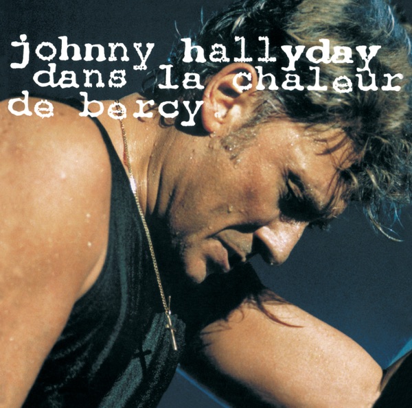 Dans la chaleur de Bercy (Live 1990) - Johnny Hallyday