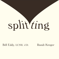 Bill Eddy & Randi Kreger - Splitting: Protecting Yourself While Divorcing Someone With Borderline or Narcissistic Personality Disorder artwork