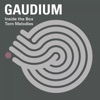 Gaudium - Torn Melodies