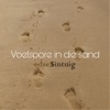 Voetspore in Die Sand - Single