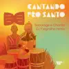 Stream & download Cantando pro santo (DJ Negralha Remix) - Single