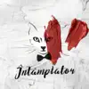 Intamplator - Single album lyrics, reviews, download