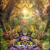 Cosmic Touch - Core Vibrations