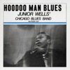 Hoodoo Man Blues