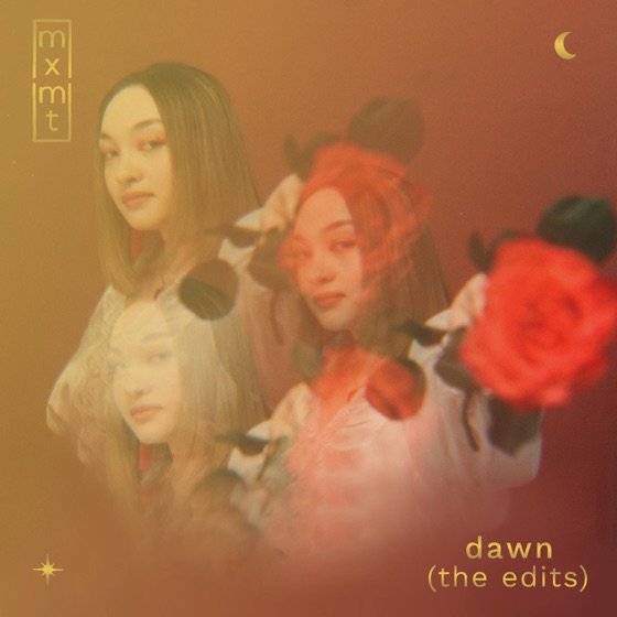 Cover artwork for fever dream (Shawn Wasabi remix)