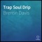 Drippy Dripology - Brentin Davis lyrics