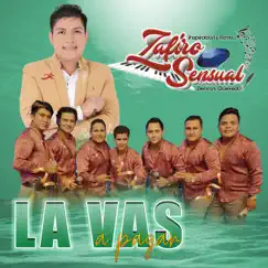 La Vas a Pagar - Single by Zafiro Sensual album reviews, ratings, credits