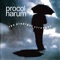 Man with a Mission - Procol Harum lyrics