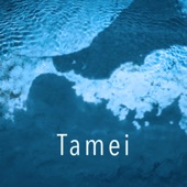 Tamei artwork