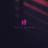 What No One Knows (feat. Rachel Horvath) [Remix] artwork