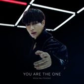 You are the one artwork