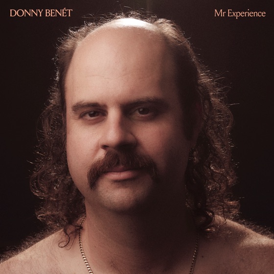 Cover artwork for Second Dinner