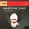 Seiyum Thozhile - D. K. Pattammal lyrics