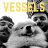 Vessels - Single