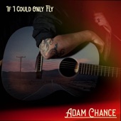 If I Could Only Fly artwork