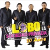 El Lobo Y La Sociedad Privada - Amargo y Dulce