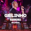 Gelinho (Ao Vivo) [Ao Vivo] - Single