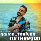 Gallan Teriyan Mitheeyan artwork