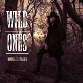 Wild Ones (feat. J.Pollock) artwork