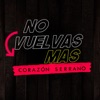 No Vuelvas Mas - Single