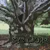 Sycamore (feat. Ras Kass) - Single album lyrics, reviews, download
