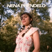 Nena Préndelo artwork