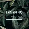 Rain Noises song lyrics