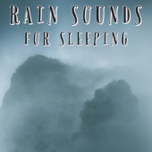 Rain For Sleeping artwork