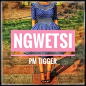 Ngwetsi artwork