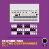 Reworkings By the Deepshakerz, Vol.5 - Single, 2019